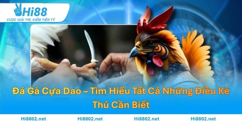 Đá Gà Cựa Dao – Tìm Hiểu Tất Cả Những Điều Kê Thủ Cần Biết