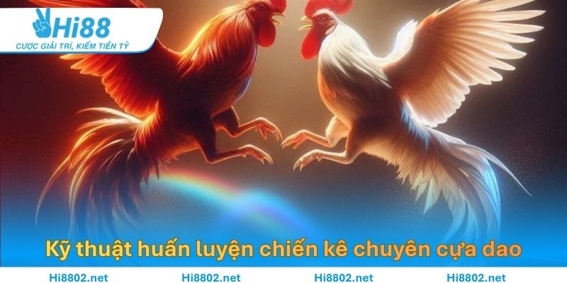Kỹ thuật huấn luyện chiến kê chuyên cựa dao